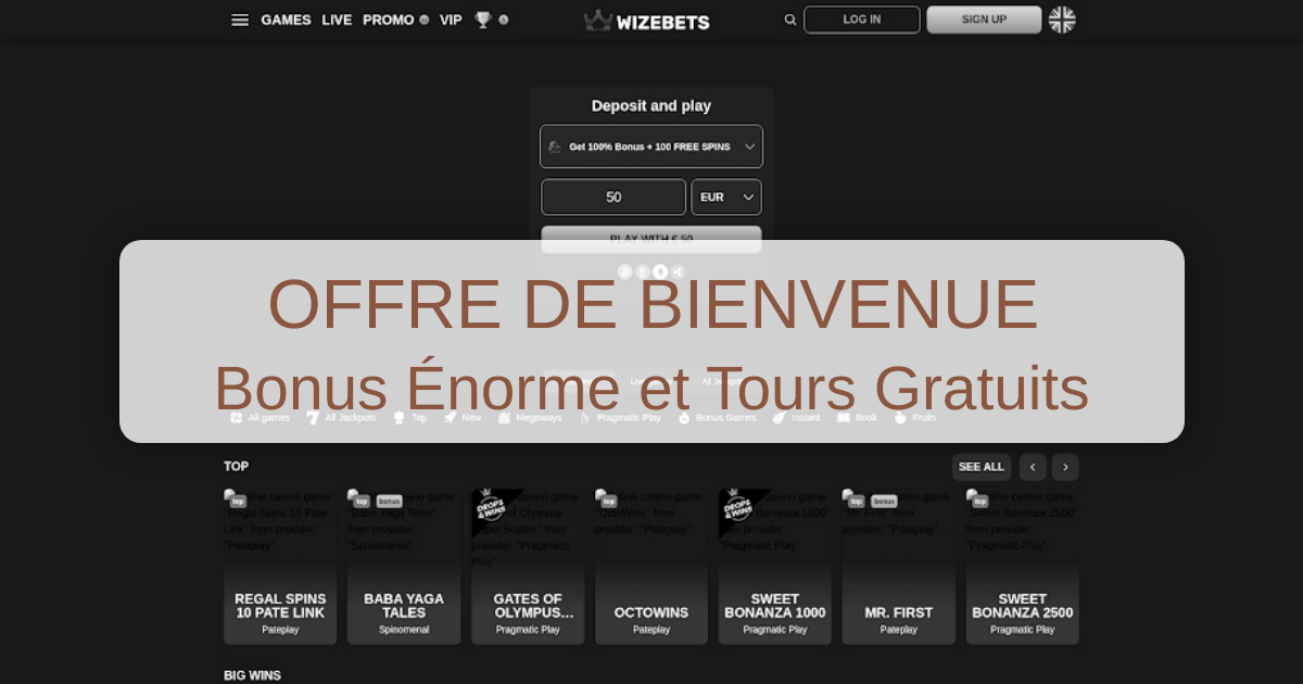 Wizebets Casino France
